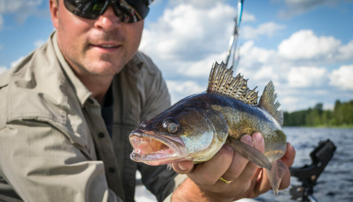 Portrait with walleye