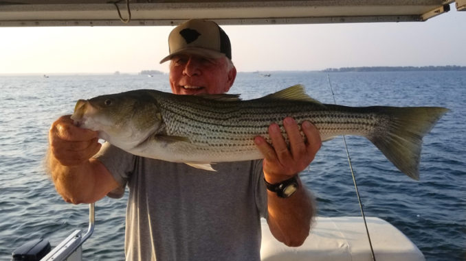 A Variety of Techniques Will Catch These Fish - Santee Cooper Country