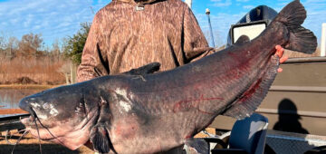 man with large catfish