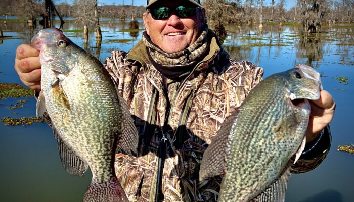 whitey crappie website